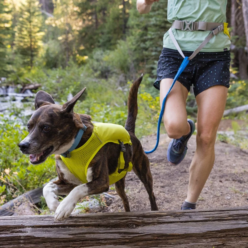 Ruffwear Trail Runner Leash – Freihändige Jogging-Hundeleine mit elastischem Bungee-Dämpfer für aktive Hunde beim Laufen, Wandern & Trail Running