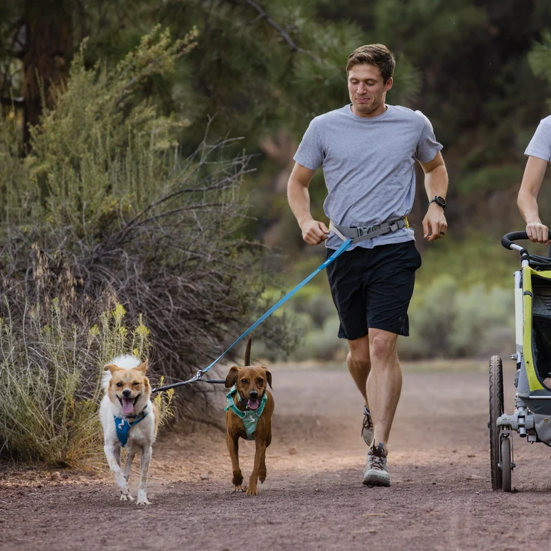 Ruffwear Trail Runner Leash – Freihändige Jogging-Hundeleine mit elastischem Bungee-Dämpfer für aktive Hunde beim Laufen, Wandern & Trail Running