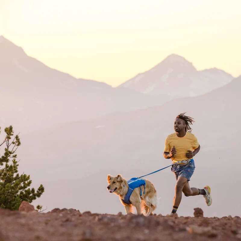 Ruffwear Trail Runner Leash – Freihändige Jogging-Hundeleine mit elastischem Bungee-Dämpfer für aktive Hunde beim Laufen, Wandern & Trail Running