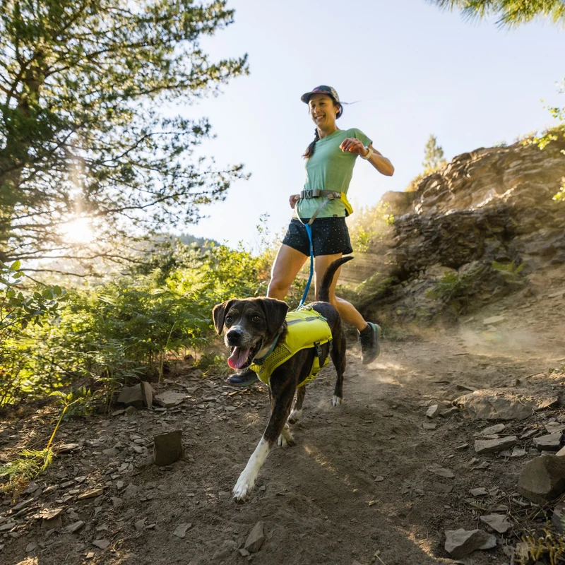 Ruffwear Trail Runner Belt – Premium-Laufgürtel für freihändiges Joggen mit Hund, ergonomisch gepolstert mit Leckerlitasche und sicherer Leinenbefestigung