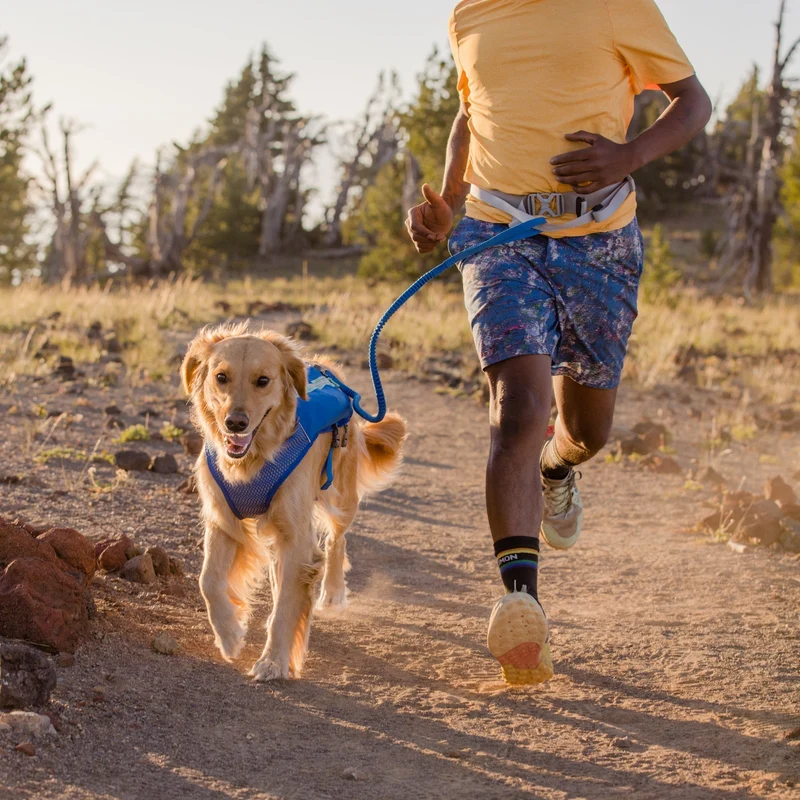 Ruffwear Trail Runner Belt – Premium-Laufgürtel für freihändiges Joggen mit Hund, ergonomisch gepolstert mit Leckerlitasche und sicherer Leinenbefestigung