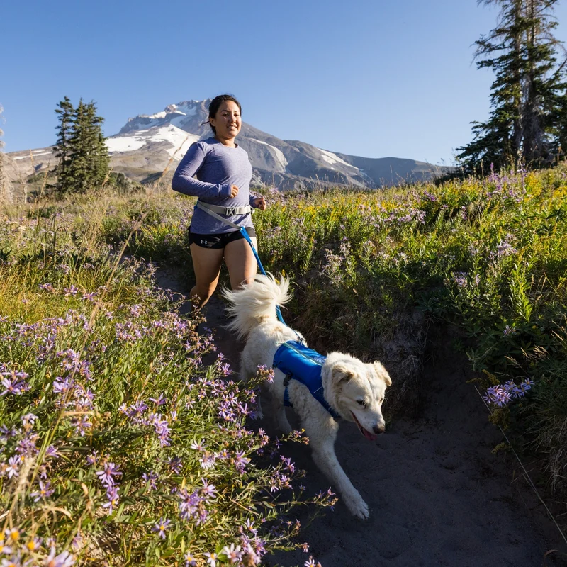 Ruffwear Trail Runner Belt – Premium-Laufgürtel für freihändiges Joggen mit Hund, ergonomisch gepolstert mit Leckerlitasche und sicherer Leinenbefestigung