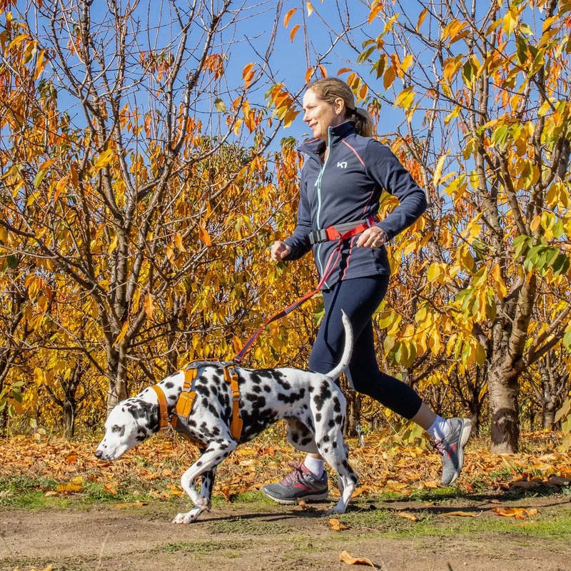 Kurgo On-Trail Running Belt – Freihändiger Laufgürtel mit Reflektoren für sicheres Joggen mit Hund, verstellbar & wasserabweisend