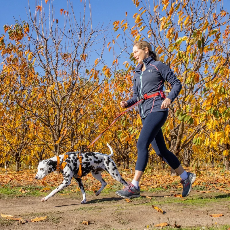 Kurgo On-Trail Running Belt – Freihändiger Laufgürtel mit Reflektoren für sicheres Joggen mit Hund, verstellbar & wasserabweisend