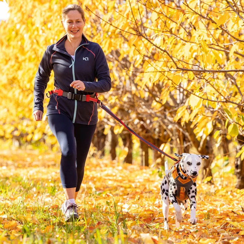 Kurgo On-Trail Running Belt – Freihändiger Laufgürtel mit Reflektoren für sicheres Joggen mit Hund, verstellbar & wasserabweisend