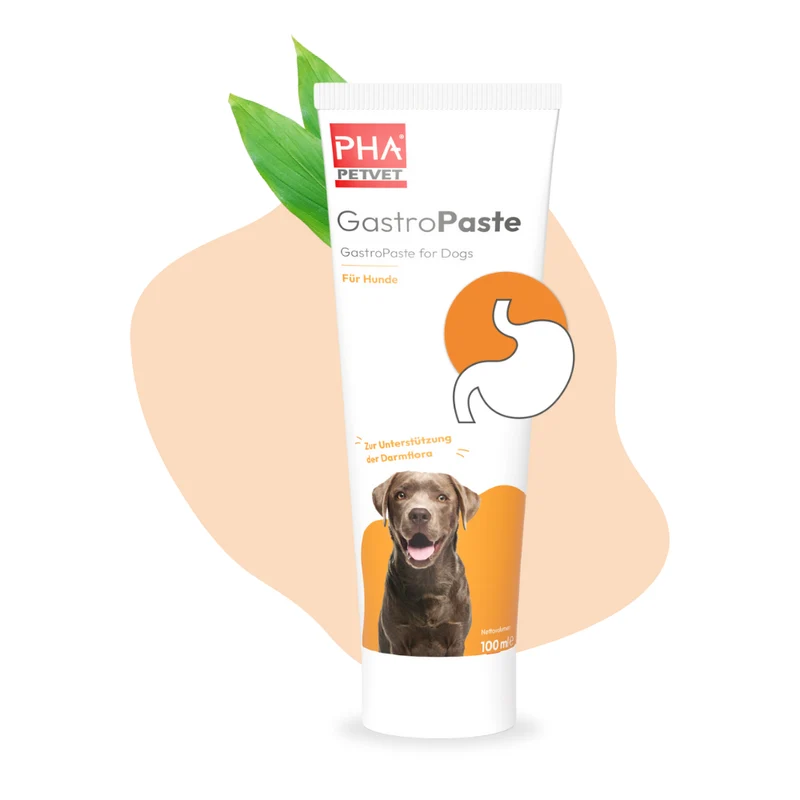 PHA GastroPaste für Hunde - 100 ml - 5 Stück