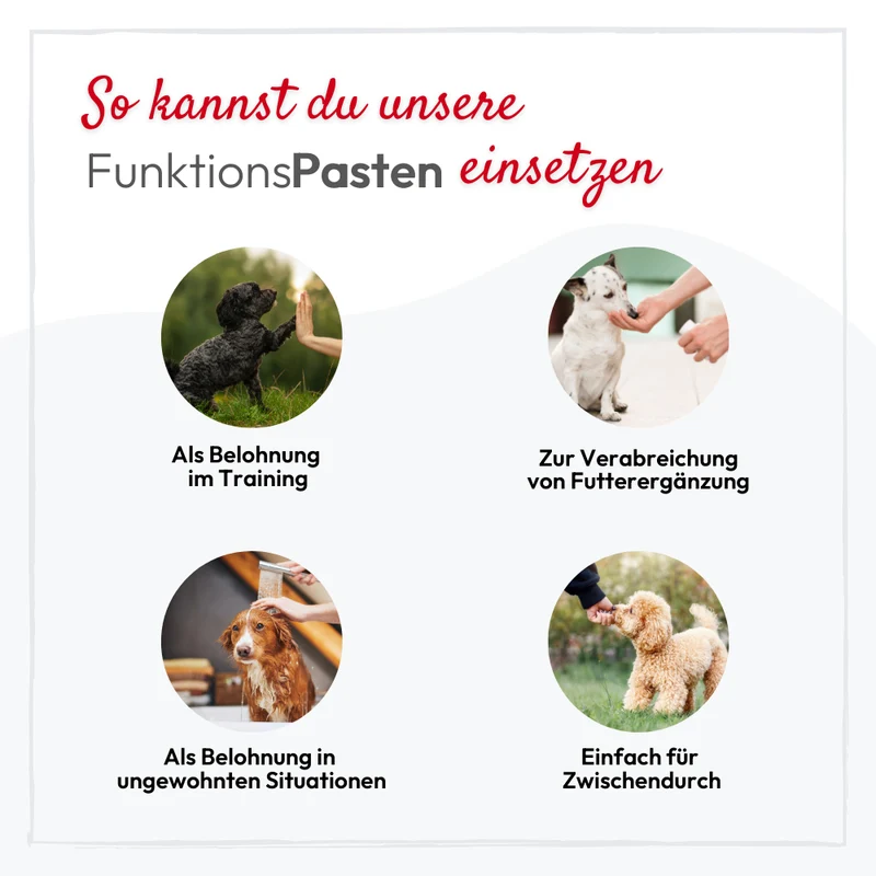 PHA GastroPaste für Hunde - 100 ml - 5 Stück