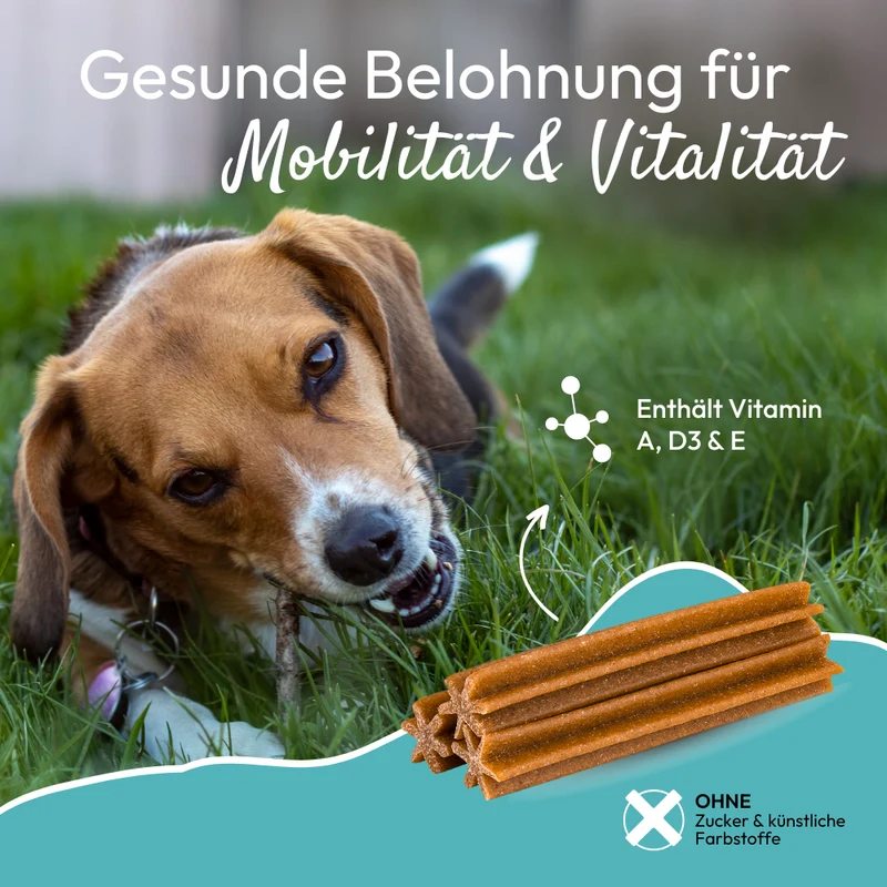 PHA MultiVitalStick für Hunde - 3 Packungen zu je 7 Stück