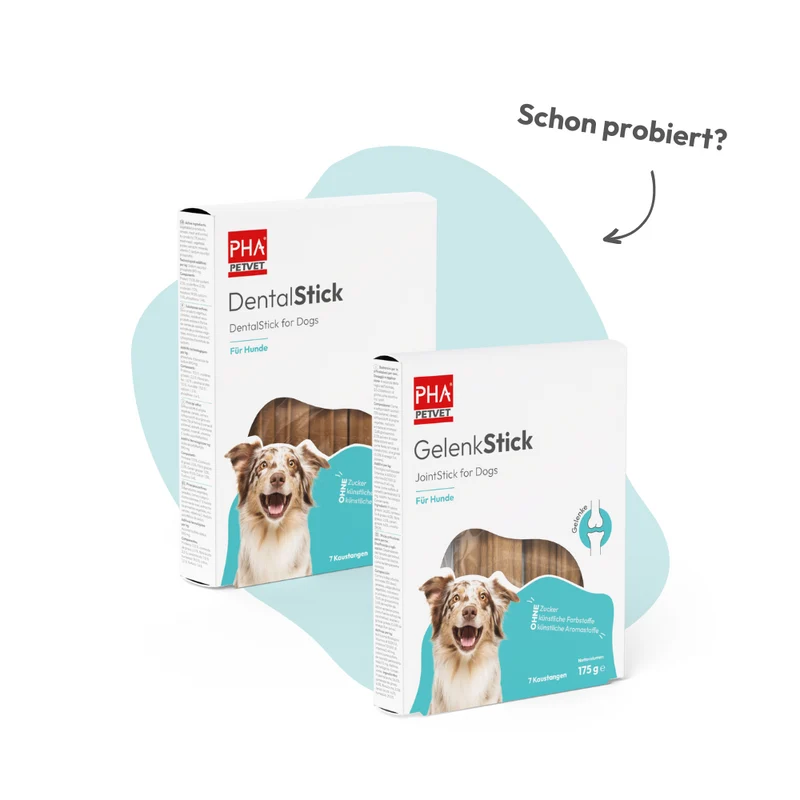 PHA MultiVitalStick für Hunde - 3 Packungen zu je 7 Stück