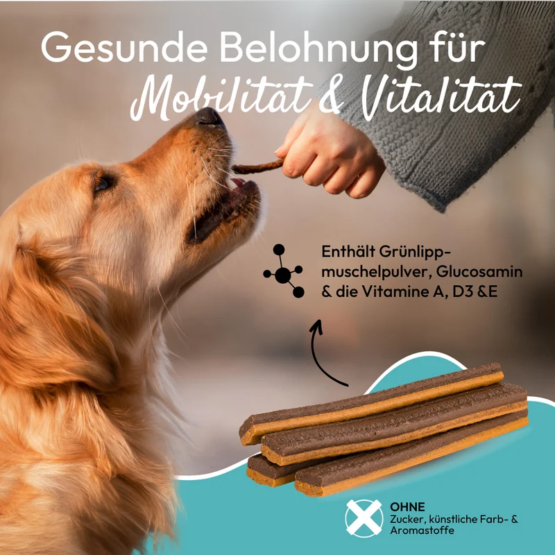 PHA GelenkStick für Hunde - 3 Packungen zu je 7 Stück