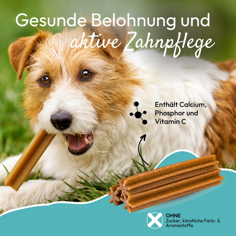 PHA DentalStick für Hunde - 3 Packungen zu je 7 Stück