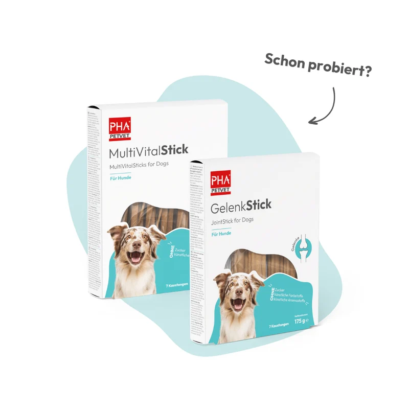 PHA DentalStick für Hunde - 3 Packungen zu je 7 Stück