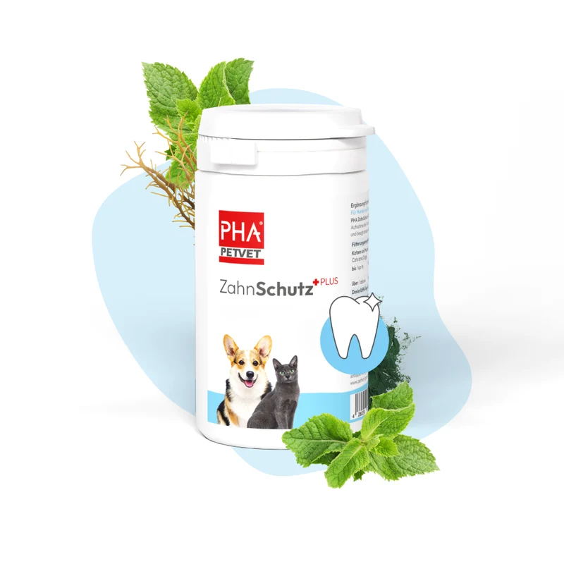 PHA ZahnSchutz PLUS für Hunde u. Katzen