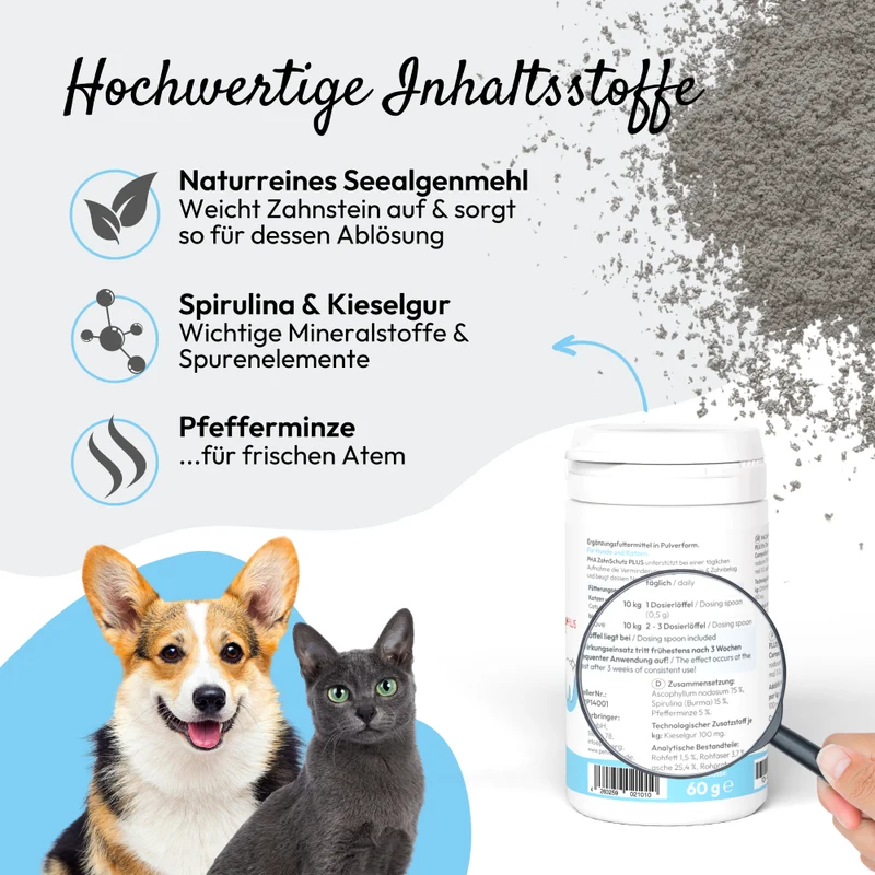 PHA ZahnSchutz PLUS für Hunde u. Katzen