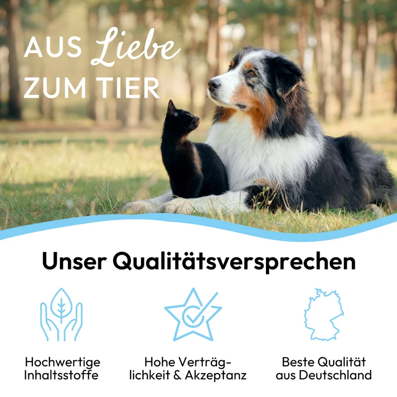 PHA ZahnSchutz PLUS für Hunde u. Katzen