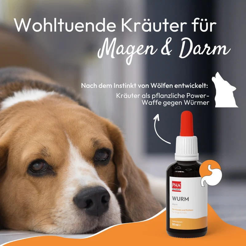 PHA WURM für Hunde u. Katzen 50 ml