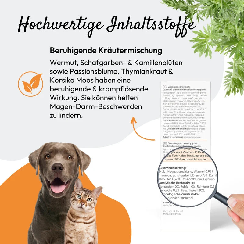 PHA WURM für Hunde u. Katzen 50 ml