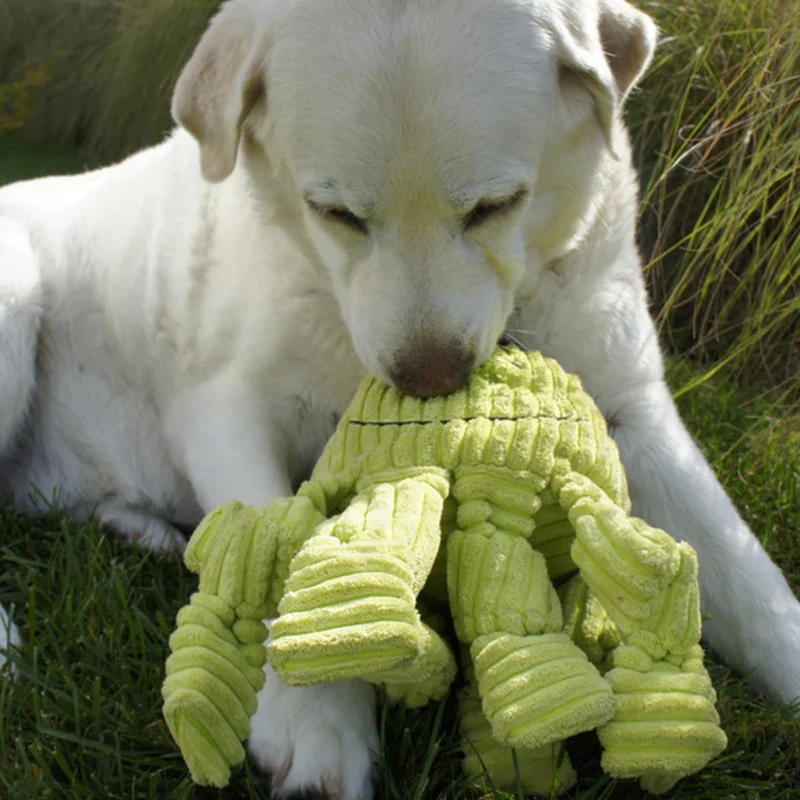 HuggleHounds Octavie Octopus Knottie – Robustes Hundespielzeug mit Quietscher für Apportier- & Zerrspiele