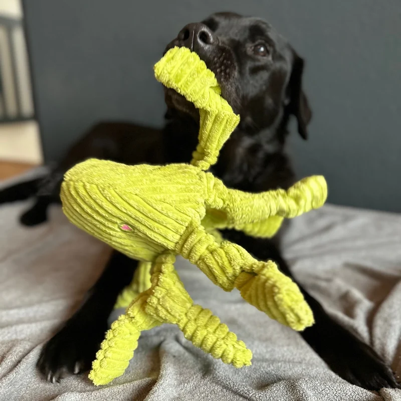 HuggleHounds Octavie Octopus Knottie – Robustes Hundespielzeug mit Quietscher für Apportier- & Zerrspiele
