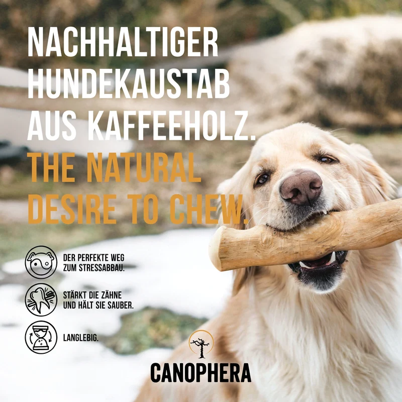 CANOPHERA | Kaustab aus Kaffeeholz