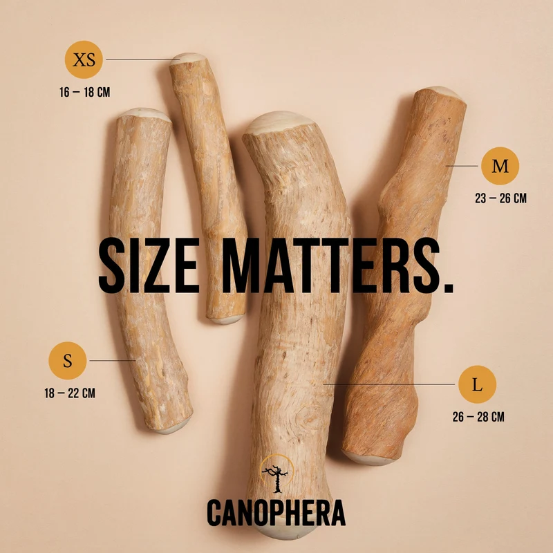 CANOPHERA | Kaustab aus Kaffeeholz