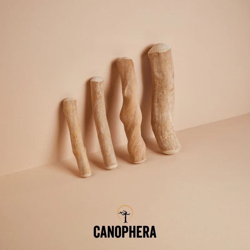 CANOPHERA | Kaustab aus Kaffeeholz