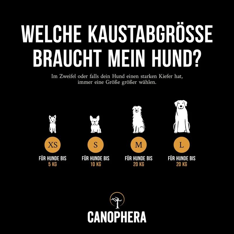 CANOPHERA | Kaustab aus Kaffeeholz
