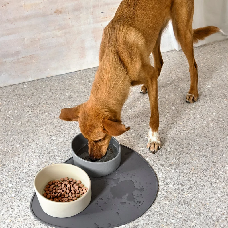 Palopa | Dog Bowl Napf Cali