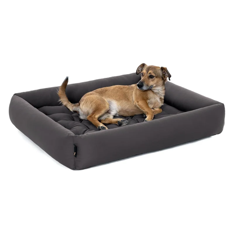 Pointer – Orthopädisches Hundebett by Doctor Bark | Gelenkschonend & Druckentlastend für schmerzfreien Schlaf