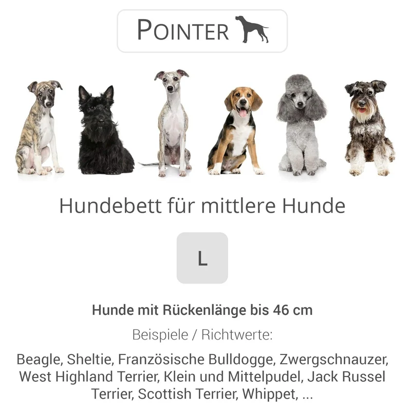 Pointer – Orthopädisches Hundebett by Doctor Bark | Gelenkschonend & Druckentlastend für schmerzfreien Schlaf