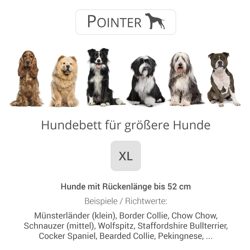 Pointer – Orthopädisches Hundebett by Doctor Bark | Gelenkschonend & Druckentlastend für schmerzfreien Schlaf