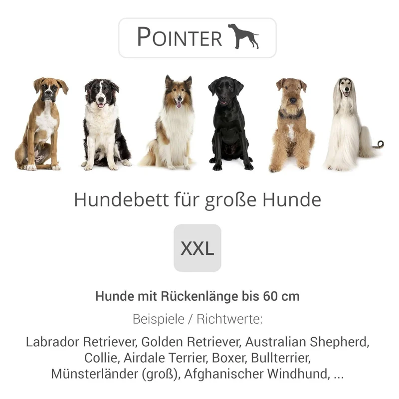 Pointer – Orthopädisches Hundebett by Doctor Bark | Gelenkschonend & Druckentlastend für schmerzfreien Schlaf