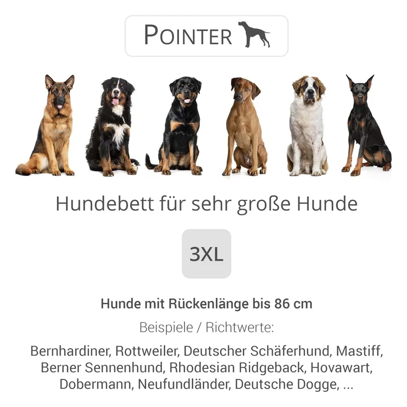 Pointer – Orthopädisches Hundebett by Doctor Bark | Gelenkschonend & Druckentlastend für schmerzfreien Schlaf