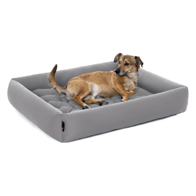 Pointer – Orthopädisches Hundebett by Doctor Bark | Gelenkschonend & Druckentlastend für schmerzfreien Schlaf