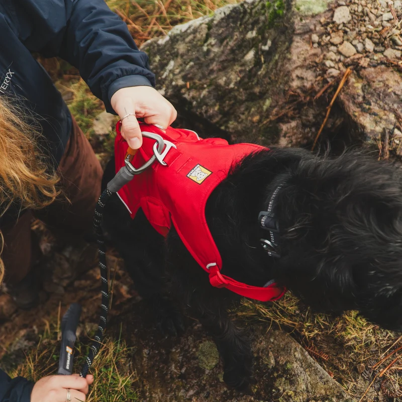 Ruffwear Web Master Harness Hundegeschirr – Ausbruchsicheres Premium-Sicherheitsgeschirr mit 4 Anpassungspunkten für maximale Kontrolle bei Wanderungen, Training & Alltag