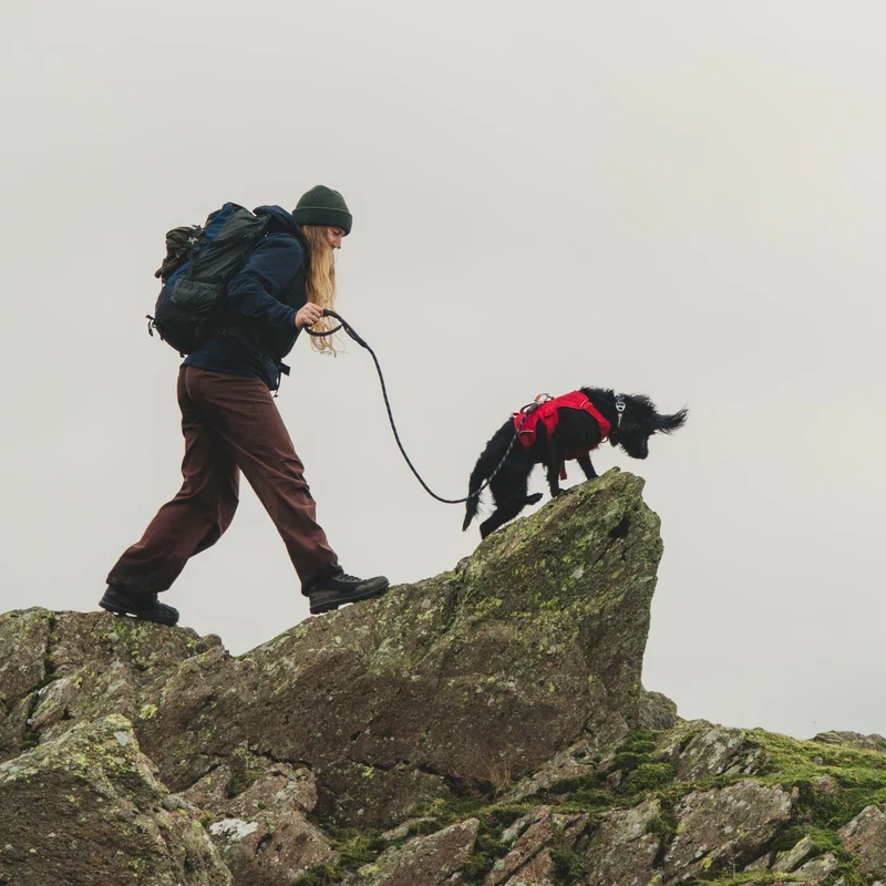 Ruffwear Web Master Harness Hundegeschirr – Ausbruchsicheres Premium-Sicherheitsgeschirr mit 4 Anpassungspunkten für maximale Kontrolle bei Wanderungen, Training & Alltag