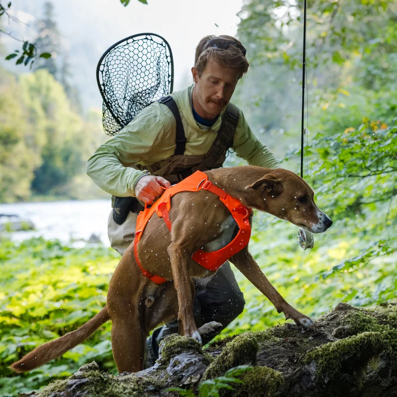 Ruffwear Web Master Harness Hundegeschirr – Ausbruchsicheres Premium-Sicherheitsgeschirr mit 4 Anpassungspunkten für maximale Kontrolle bei Wanderungen, Training & Alltag