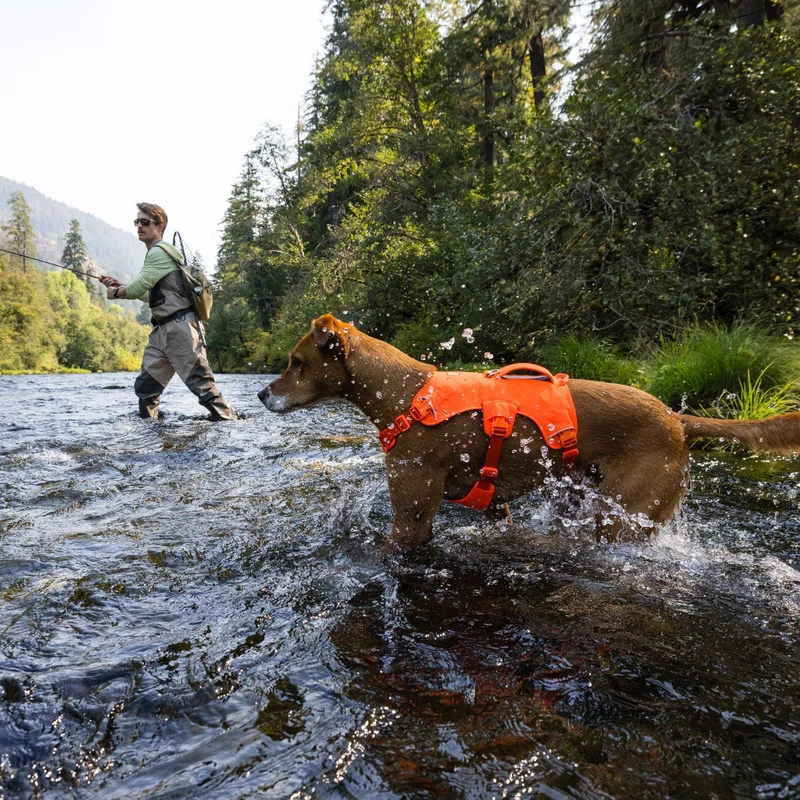 Ruffwear Web Master Harness Hundegeschirr – Ausbruchsicheres Premium-Sicherheitsgeschirr mit 4 Anpassungspunkten für maximale Kontrolle bei Wanderungen, Training & Alltag
