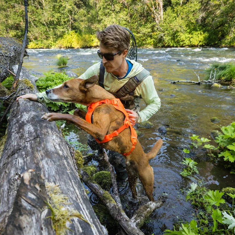 Ruffwear Web Master Harness Hundegeschirr – Ausbruchsicheres Premium-Sicherheitsgeschirr mit 4 Anpassungspunkten für maximale Kontrolle bei Wanderungen, Training & Alltag