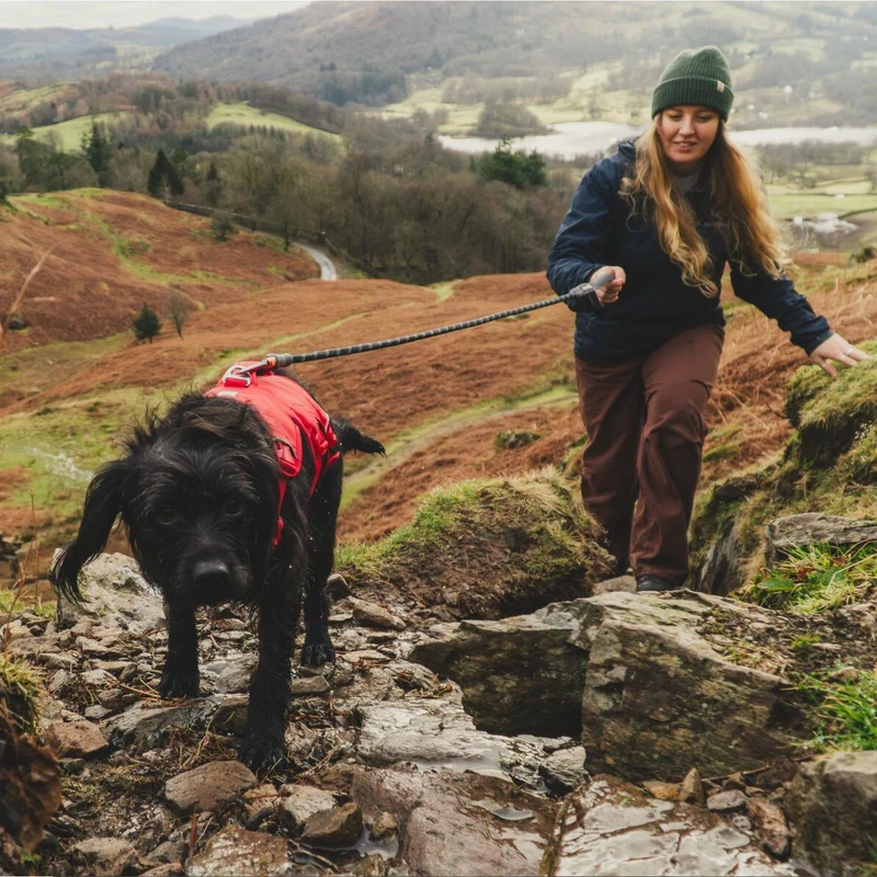 Ruffwear Web Master Harness Hundegeschirr – Ausbruchsicheres Premium-Sicherheitsgeschirr mit 4 Anpassungspunkten für maximale Kontrolle bei Wanderungen, Training & Alltag
