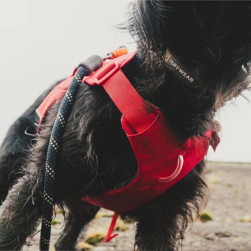 Ruffwear Web Master Harness Hundegeschirr – Ausbruchsicheres Premium-Sicherheitsgeschirr mit 4 Anpassungspunkten für maximale Kontrolle bei Wanderungen, Training & Alltag