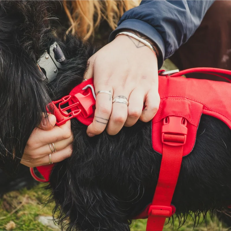 Ruffwear Web Master Harness Hundegeschirr – Ausbruchsicheres Premium-Sicherheitsgeschirr mit 4 Anpassungspunkten für maximale Kontrolle bei Wanderungen, Training & Alltag