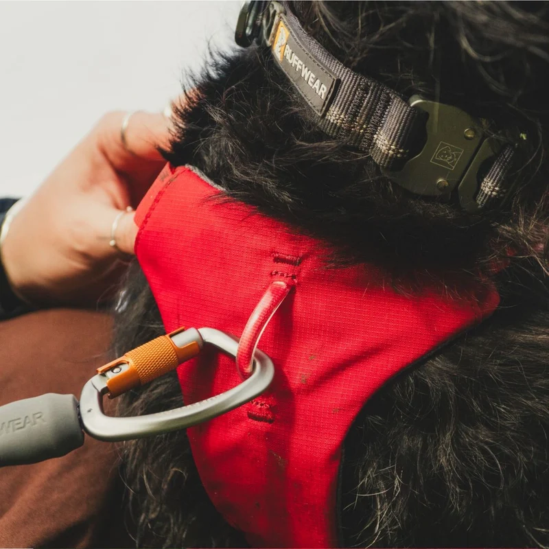 Ruffwear Web Master Harness Hundegeschirr – Ausbruchsicheres Premium-Sicherheitsgeschirr mit 4 Anpassungspunkten für maximale Kontrolle bei Wanderungen, Training & Alltag
