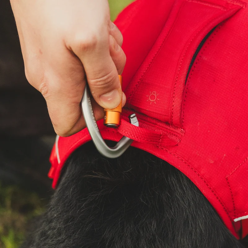 Ruffwear Web Master Harness Hundegeschirr – Ausbruchsicheres Premium-Sicherheitsgeschirr mit 4 Anpassungspunkten für maximale Kontrolle bei Wanderungen, Training & Alltag