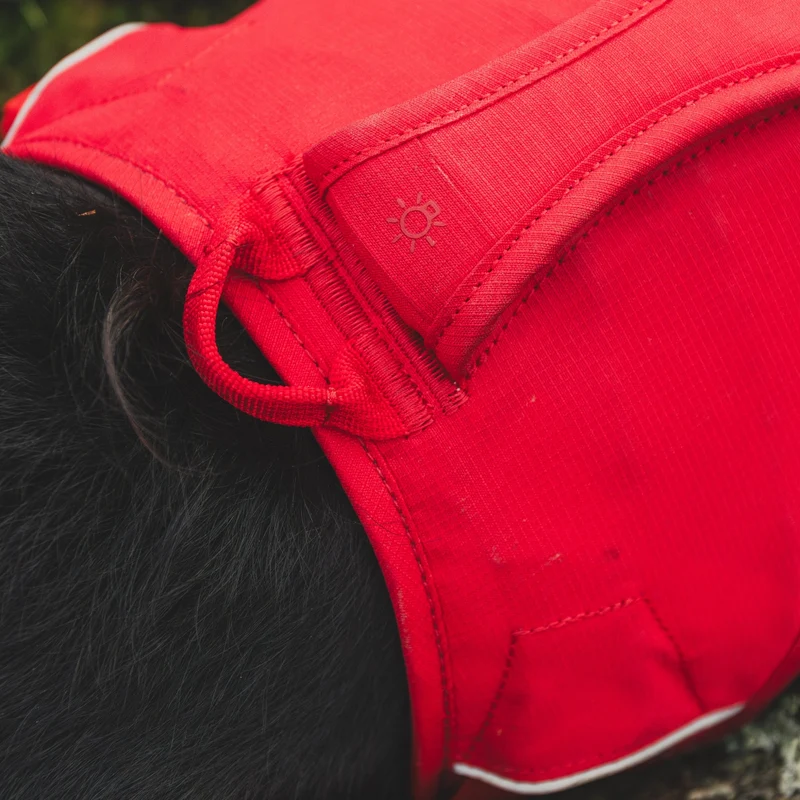 Ruffwear Web Master Harness Hundegeschirr – Ausbruchsicheres Premium-Sicherheitsgeschirr mit 4 Anpassungspunkten für maximale Kontrolle bei Wanderungen, Training & Alltag