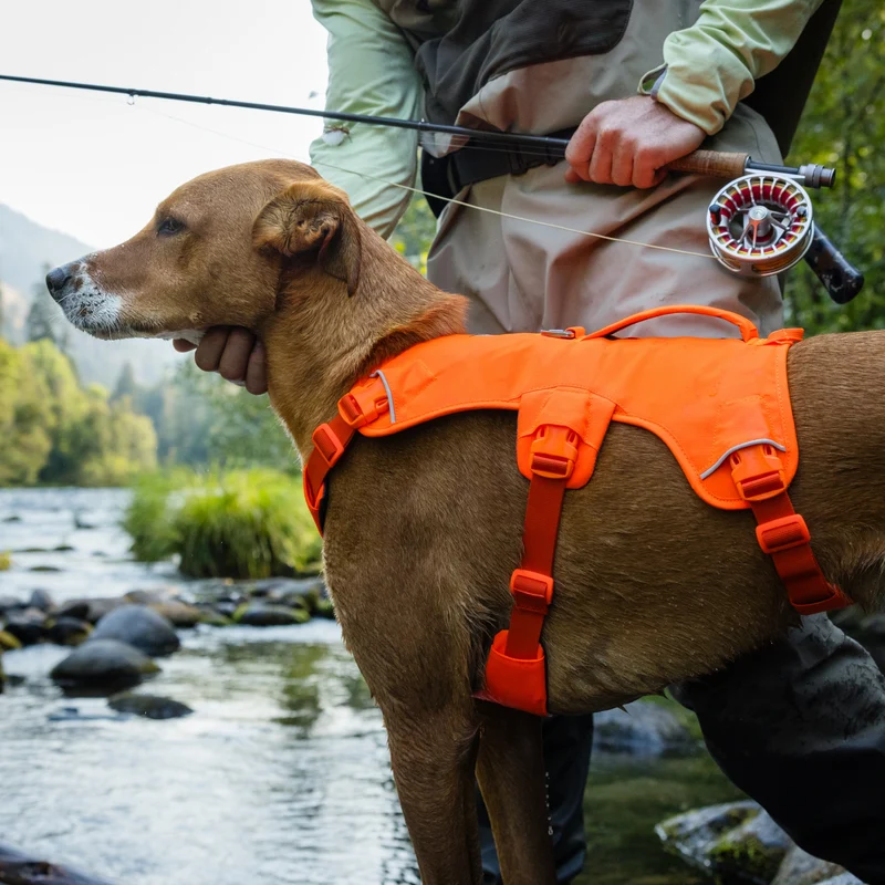 Ruffwear Web Master Harness Hundegeschirr – Ausbruchsicheres Premium-Sicherheitsgeschirr mit 4 Anpassungspunkten für maximale Kontrolle bei Wanderungen, Training & Alltag