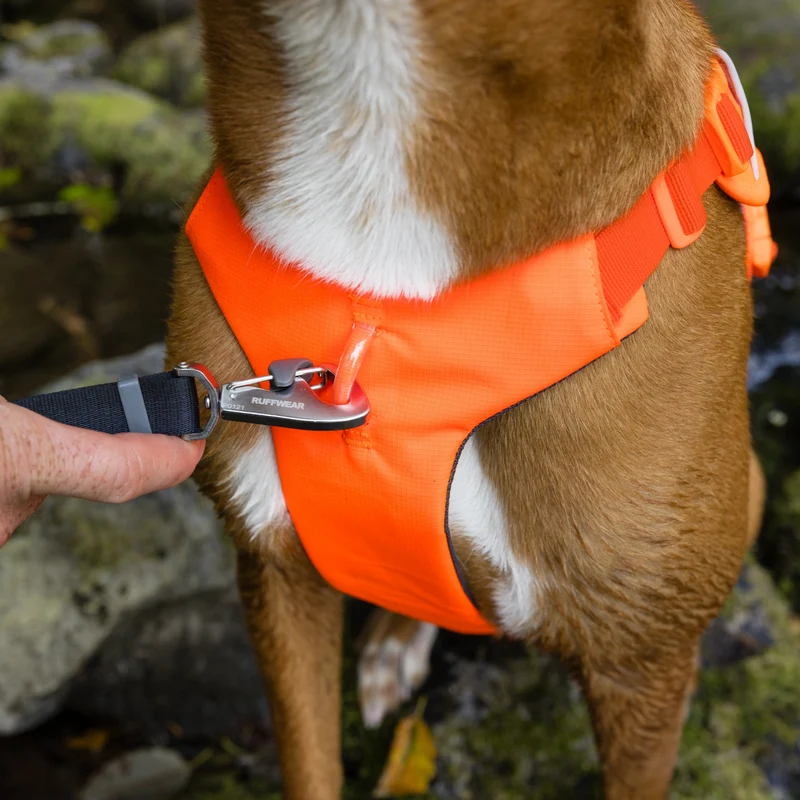 Ruffwear Web Master Harness Hundegeschirr – Ausbruchsicheres Premium-Sicherheitsgeschirr mit 4 Anpassungspunkten für maximale Kontrolle bei Wanderungen, Training & Alltag