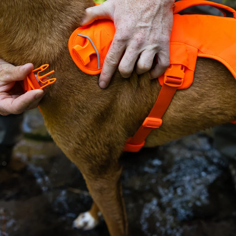 Ruffwear Web Master Harness Hundegeschirr – Ausbruchsicheres Premium-Sicherheitsgeschirr mit 4 Anpassungspunkten für maximale Kontrolle bei Wanderungen, Training & Alltag
