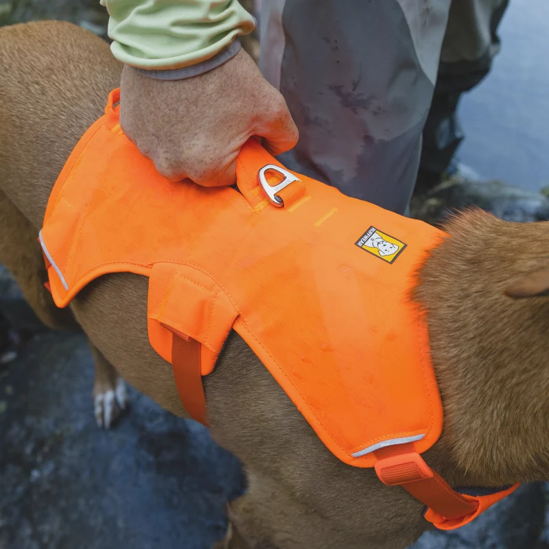 Ruffwear Web Master Harness Hundegeschirr – Ausbruchsicheres Premium-Sicherheitsgeschirr mit 4 Anpassungspunkten für maximale Kontrolle bei Wanderungen, Training & Alltag