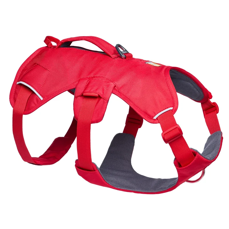 Ruffwear Web Master Harness Hundegeschirr – Ausbruchsicheres Premium-Sicherheitsgeschirr mit 4 Anpassungspunkten für maximale Kontrolle bei Wanderungen, Training & Alltag